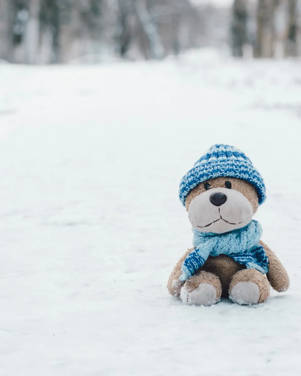 Small teddy bear in a blue hat sitting in the snow